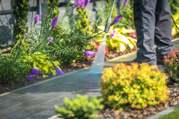 Best Sidewalk and Walkway Cleaning  in Northampton, PA